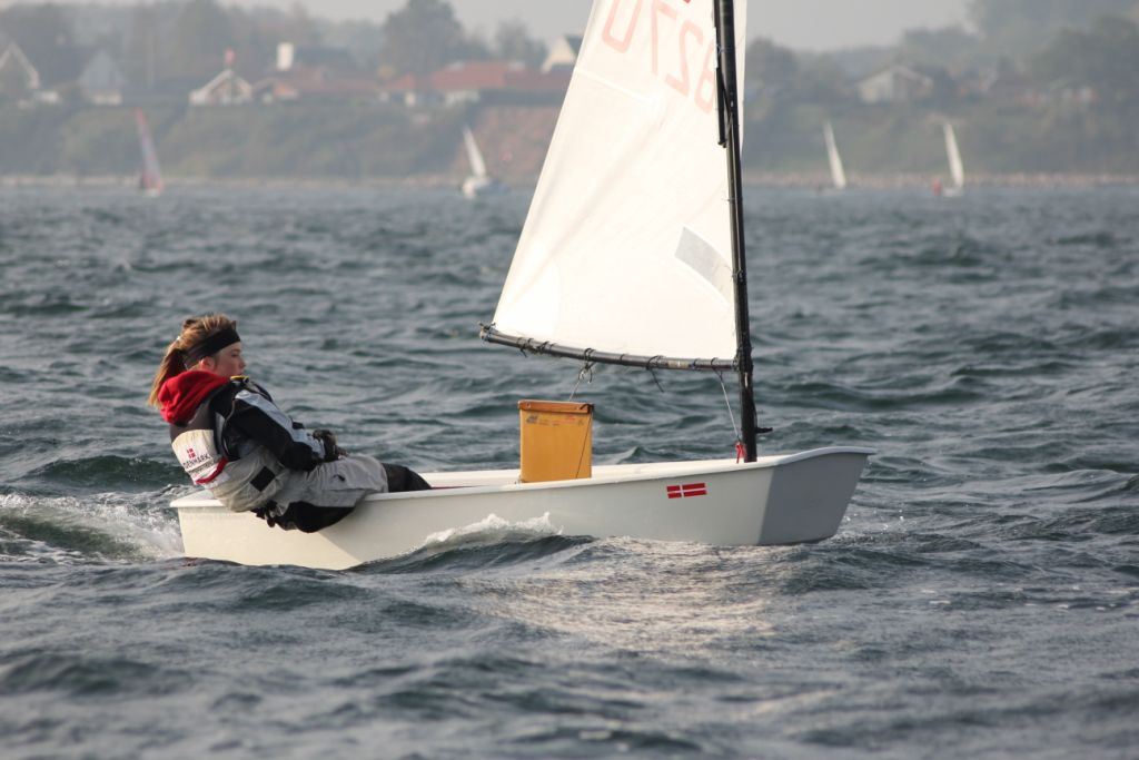 Vis 20101009 110837.jpg i fuld st�rrelse